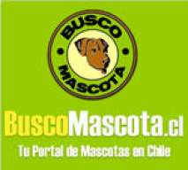 BuscoMascota.cl