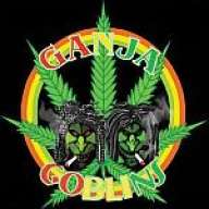 GoBlInS