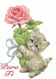g-sweet