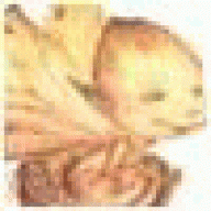 inorrievanils