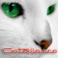 Gatoblanco