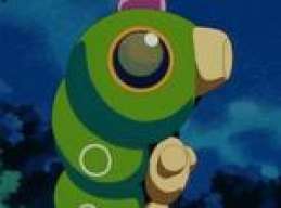 Chica Caterpie