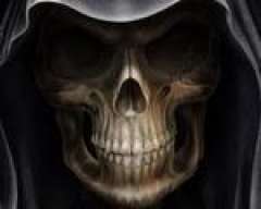 seba walker_Z