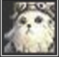 Voroshy