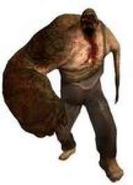 Infestor