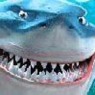 vortexxx