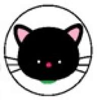 Pulguin