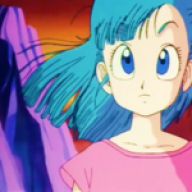 BULMA BRIEFS