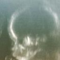 King Tauro