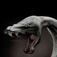 Cruel_Snake