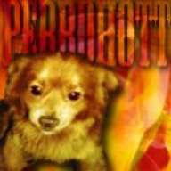 perrohott