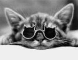 gattt