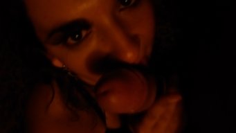 @elflaco_ylanegra