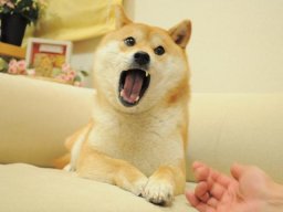 deg