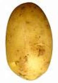 potatox