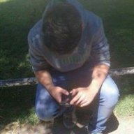 Noseqweaponer
