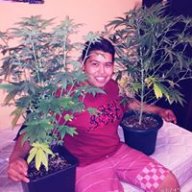 Felipe.weed