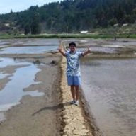 Alfredomcshpa