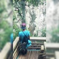 Jaojsia