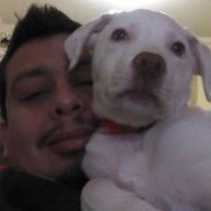 Felipecaropeppa