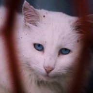 paulinamoreno