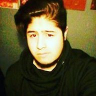 Best in the World