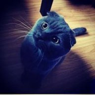 Tristan_199108