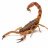 ScorpioX1