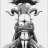 ESCORPION39