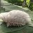 Oruga peluche