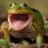 Gapper