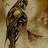 armand_el_ravno_prof