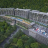Prestige Evergreen