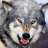 Lobo_feroz