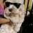 leoponcex