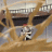 gaara_kun2005