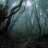 macrocosm