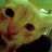 gata_lokka@@