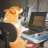 andres_m_s