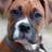 .:BoXeR:.