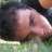 Pablo_21