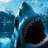 sharkblack1