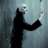 matk_dark