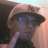 pipa_h2