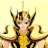 Riffo_Chiko21