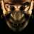 HLecter