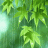 natta_3006