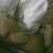 123callita@es