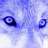 wolf_xxx