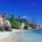 Will_3